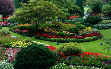 parterre arbre arbustes fleurs plante qui aime l ombre