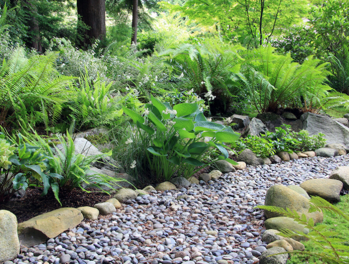 plantes de rocaille qui resistent a lhiver dans le nord