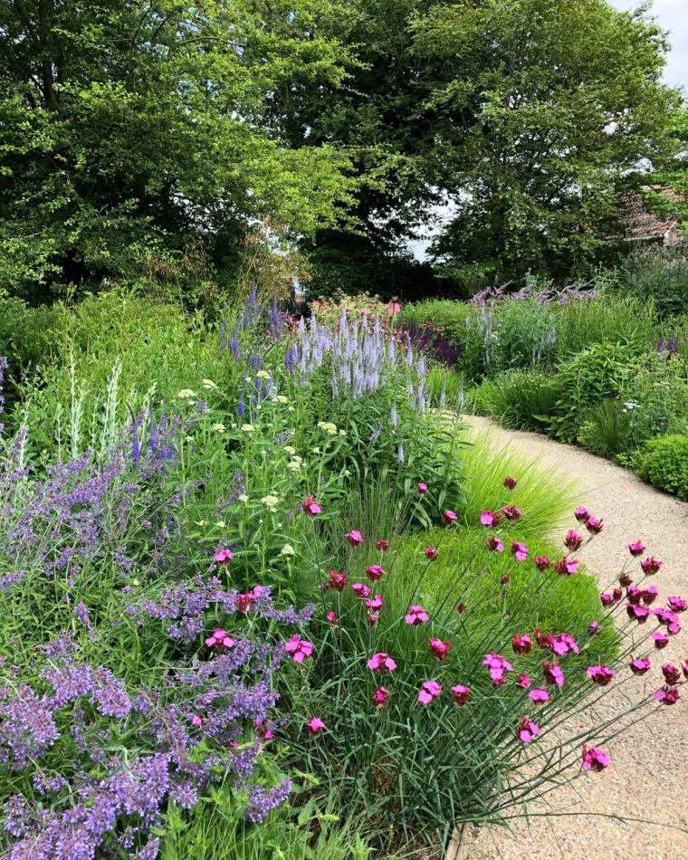 quelles plantes sans entretien pour rocaille jardin fleurs colorees