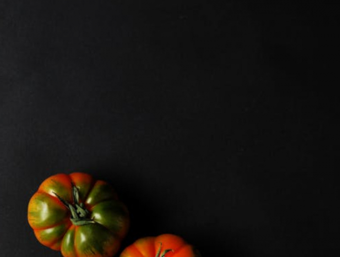 tomates et courgettes farcies au four comment les choisir
