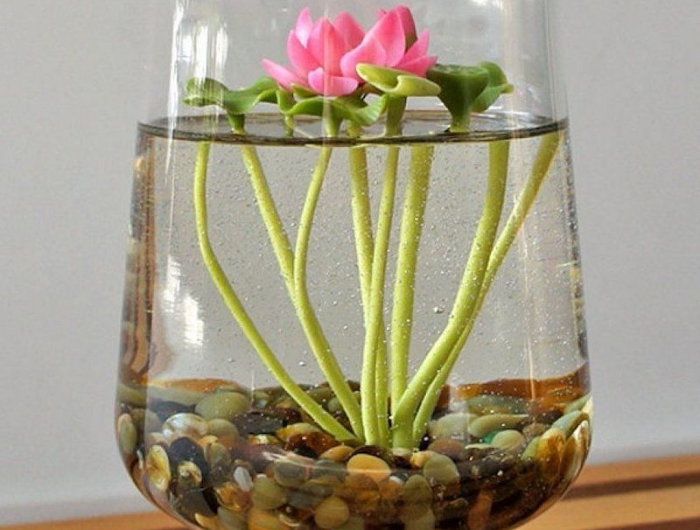 cultiver des plantes rapidement dans un verre d eau fleur dans un vase avec des cailloux