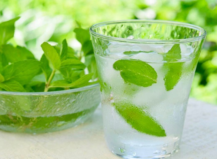 qu'est ce qui pousse le plus vite feilles de menthe tiges de menthe dans un verre d eau