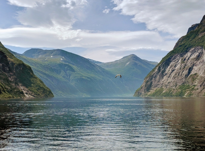 beaute nature paysage fjord eau montagne ciel vol oiseau