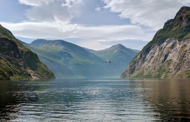 beaute nature paysage fjord eau montagne ciel vol oiseau