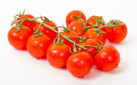 comment avoir beaucoup de tomates sur un pied brin de tomates