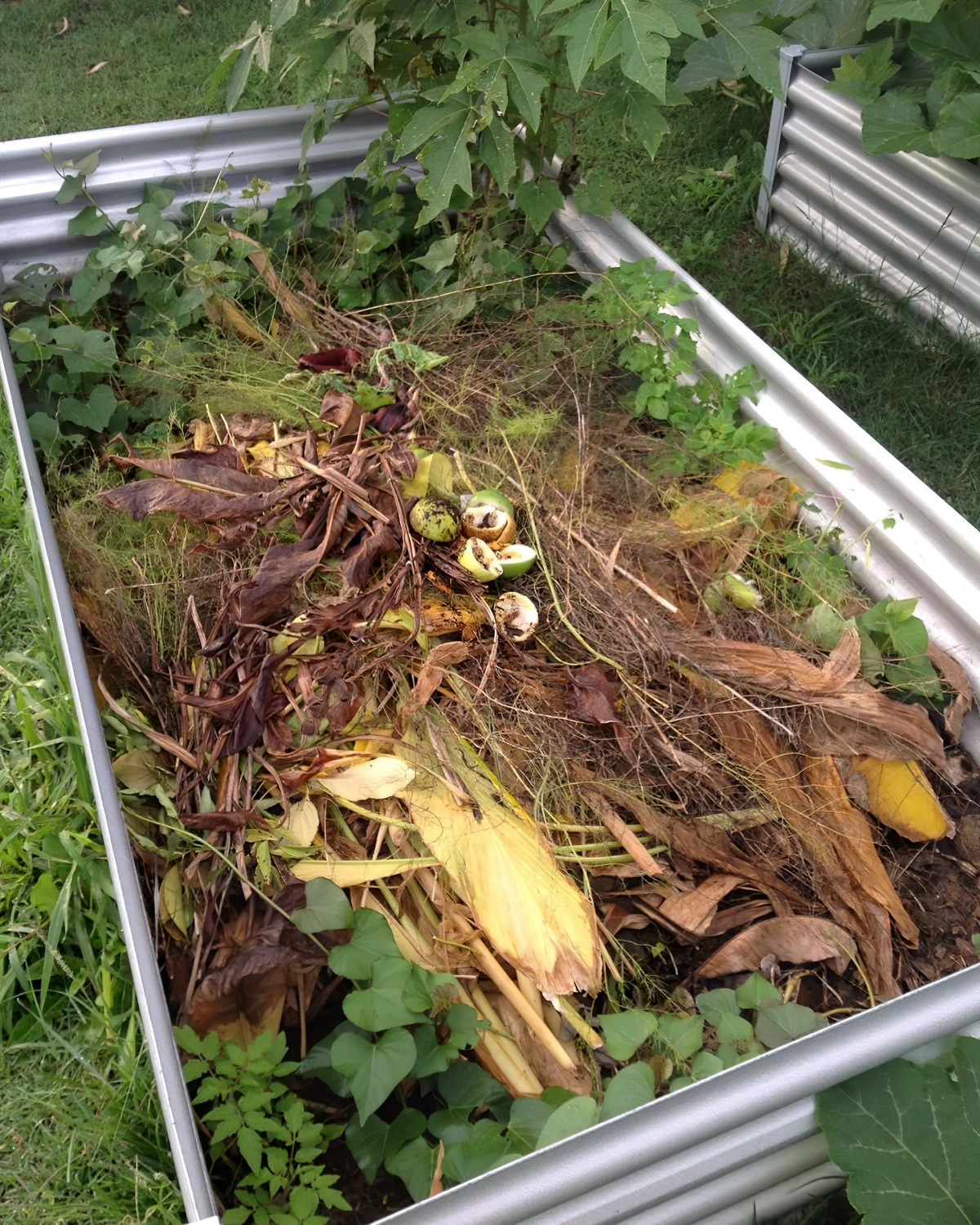 compost maison ingredients feuilles matieres organiques dechets