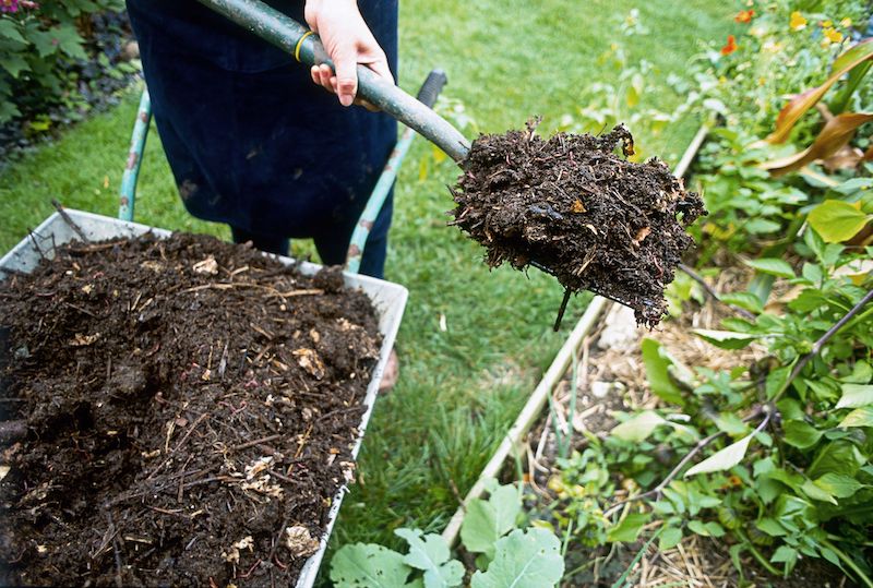 compost paillis jardin potager organique pour fertiliser le sol