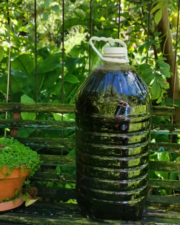 consoude purin bouteille plastique preparation fertilisant maison