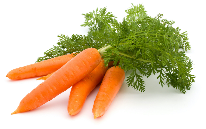 cultiver legumes et fleurs rapidement a faire bouquet de carottes