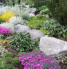 deco jardin avec gross pierres fleurs violets plantes vertes a l ombre