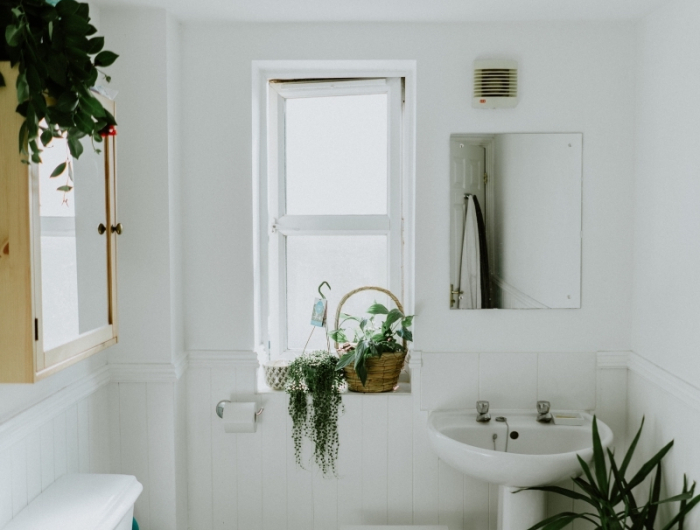 decoration toilette salle de bain avec plantes vertes miroir avec rangement