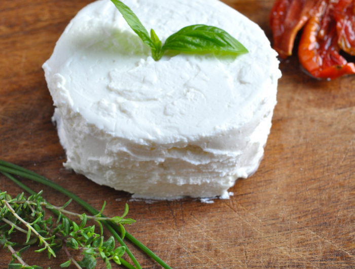 fromage frais maison yaourtiere facile et sain