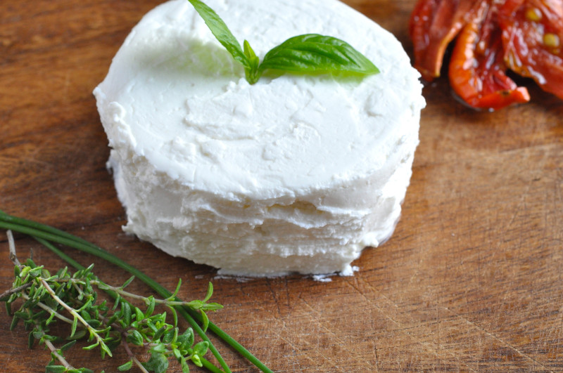 fromage frais maison yaourtiere facile et sain