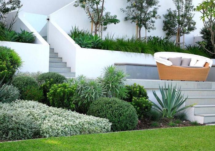 idee jardin contemporain que des plantes vertes escalier et un banc