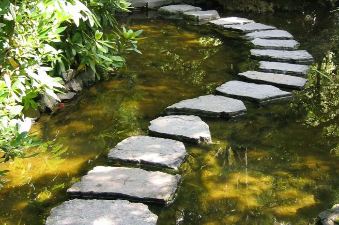idee jardin pas japonais une allee de pierre a travers la riviere