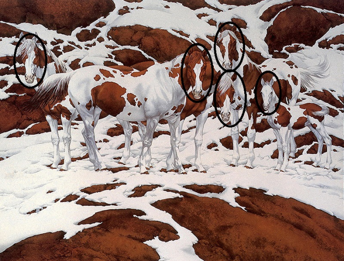 illusion d optique dessin cinq chevaux tachés au sommet de la montagne