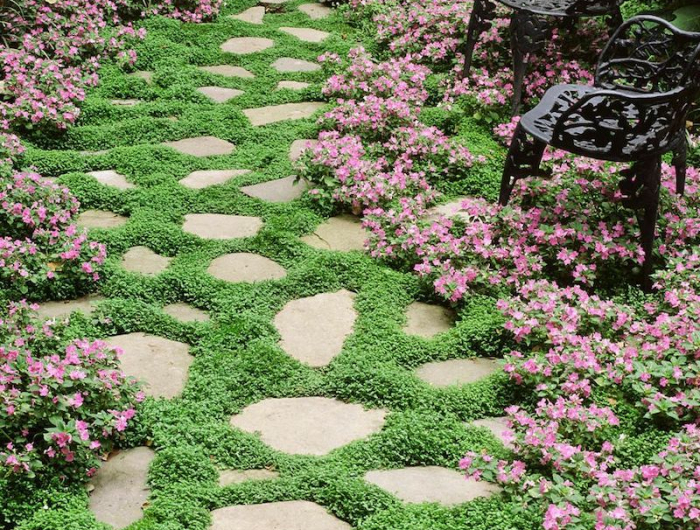 plante couvre sol ombre humide jardin avec des pierres chaise en métal et diveres fleur