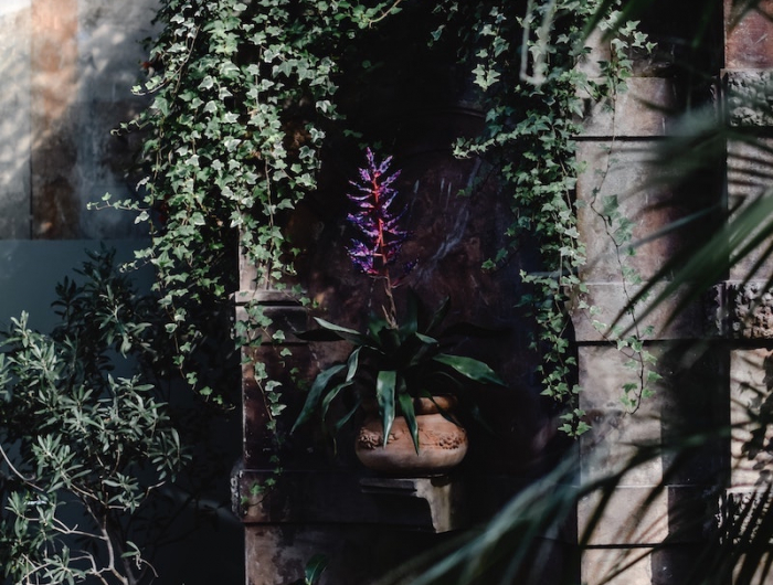 plantes grimpantes vertes sur le balcon en bois fleur violette dans un pot