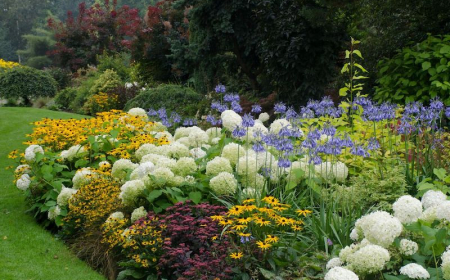 plantes tapissantes feuillage persistant jardin avec des fleurs blanches jaunes violettes et oranges