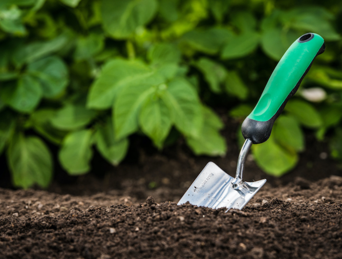 gardening shovel in the soil