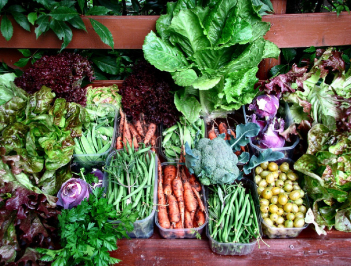 que planter en mai au potager calendrier legumes
