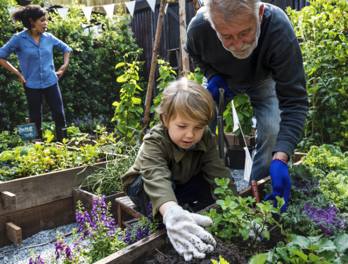 family planting vegetable from backyard garden