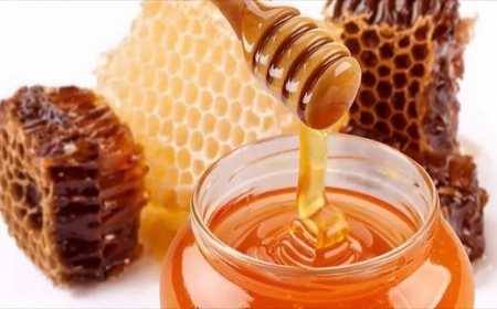 quel est le meilleur miel pour la sante bocal de miel avec cire
