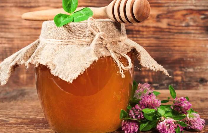 quel est le miel bon pour les bronches miel de trefle