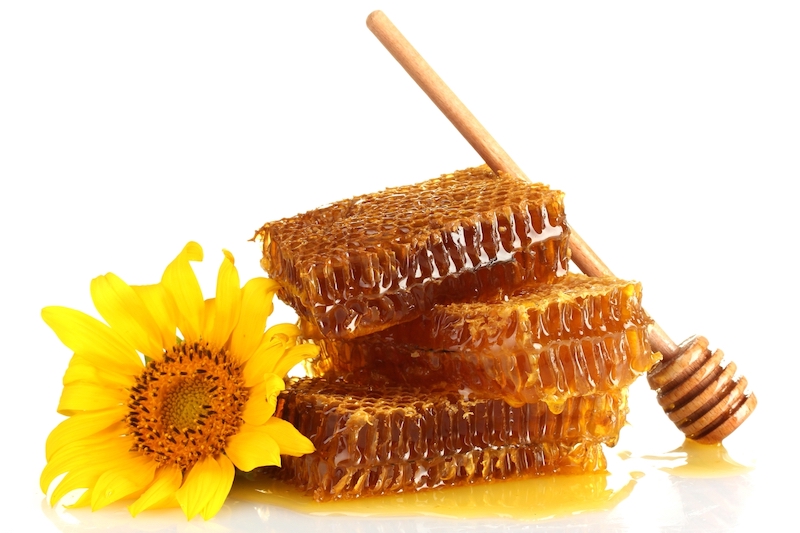 quel miel pour la bronchite miel de tournesol