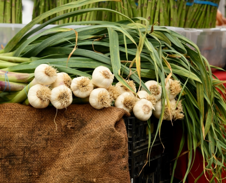 quelles sont les plantes qui font baisser la tension naturellement