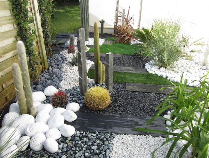 un jardin de style zen avec des cactus et des pierres blanches grises et noires avec plantes vertes