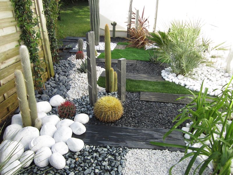 un jardin de style zen avec des cactus et des pierres blanches grises et noires avec plantes vertes
