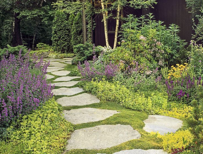 vivace couvre sol persistant chemin fleuri dans un jardin avec des pierres fleurs roses