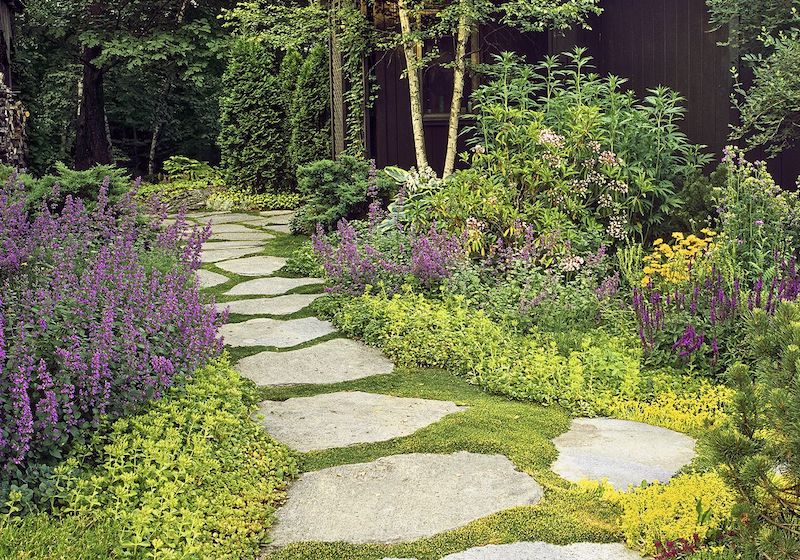 vivace couvre sol persistant chemin fleuri dans un jardin avec des pierres fleurs roses