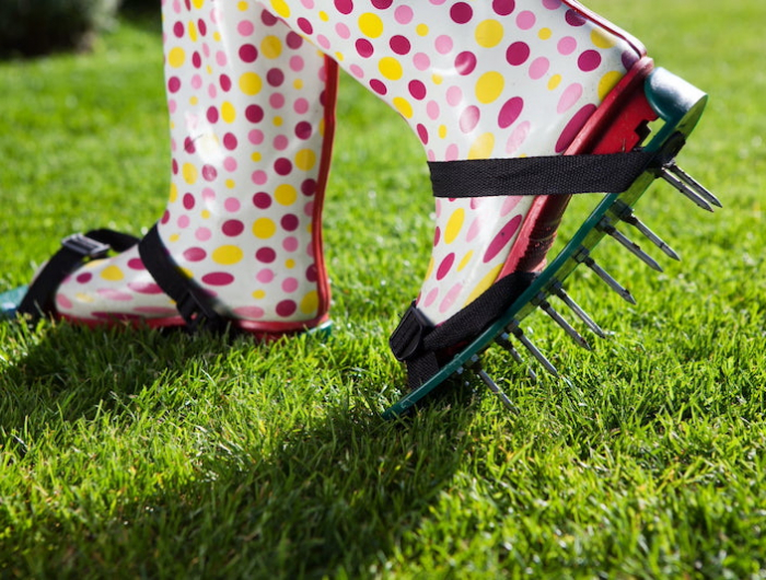 aerer le sol pour prevenir le jaunissment de ma pelouse des botes avec des clous qui marche sur l'herbe