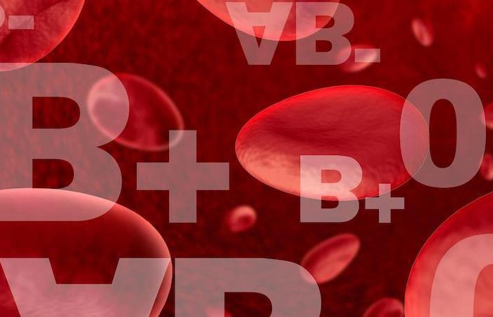 alimentation suivant le groupe sanguin des cellules rouges et les lettres