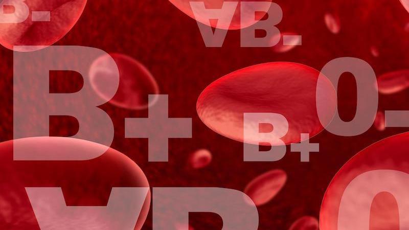 alimentation suivant le groupe sanguin des cellules rouges et les lettres