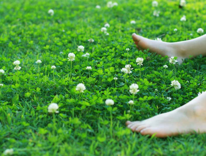 relaxing in the garden