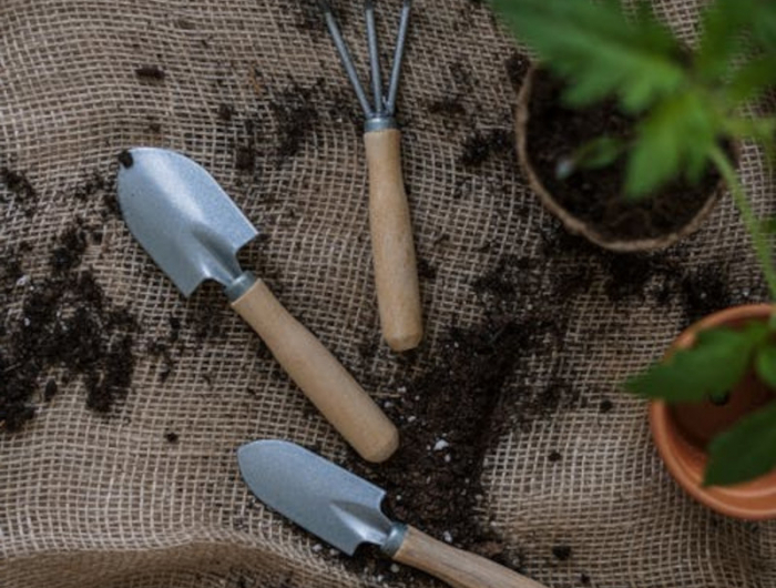 astuces de jardinage pour booster la croissance des plantes