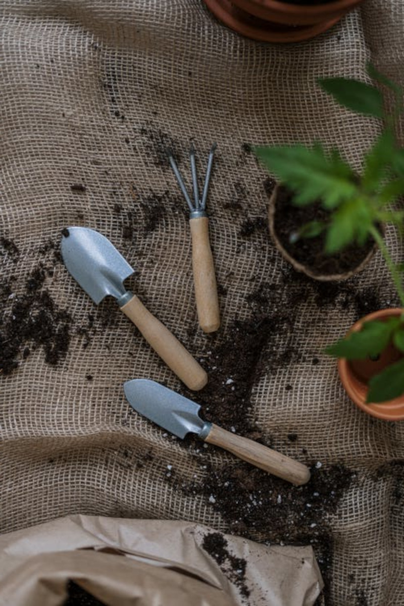 astuces de jardinage pour booster la croissance des plantes