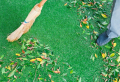 Comment nettoyer une pelouse synthétique pour garder sa fraîcheur ?