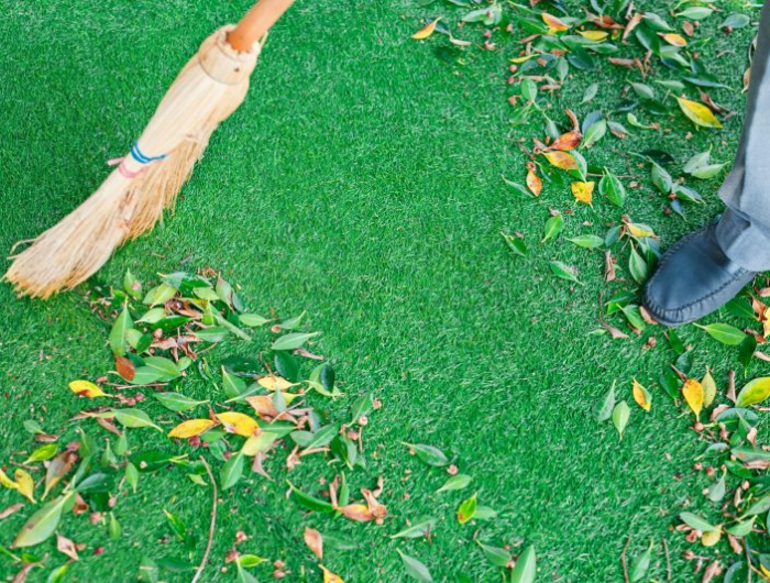balayeuse gazon synthetique nettoyer les feuilles mortes de la pelouse