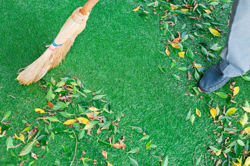 balayeuse gazon synthetique nettoyer les feuilles mortes de la pelouse