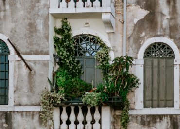 brise vue balcon vegetal plantes en gros pots terrasse