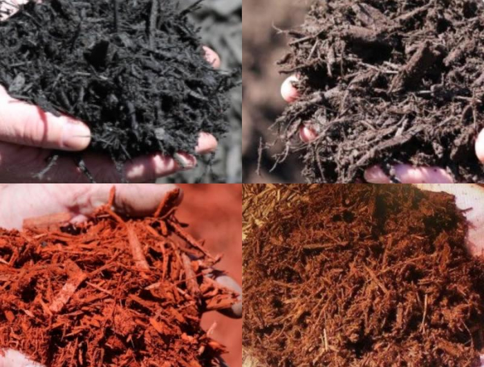 cheveux au compost  differents types de compost