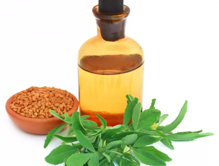 comment appliquer l huile de fenugrec huile en ampoule graine et branche de fenugrec