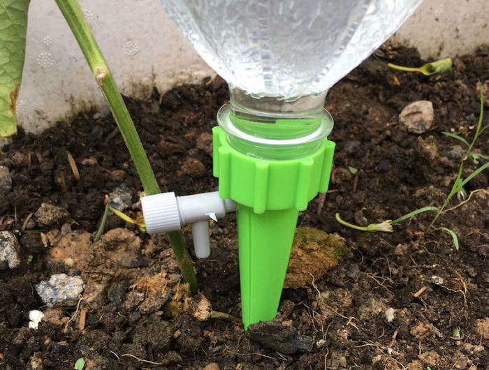 comment arroser les fleurs pendant les vacances bouteille en plastique