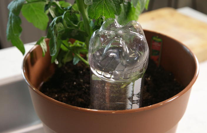 comment arroser les plantes par bouteille plastique