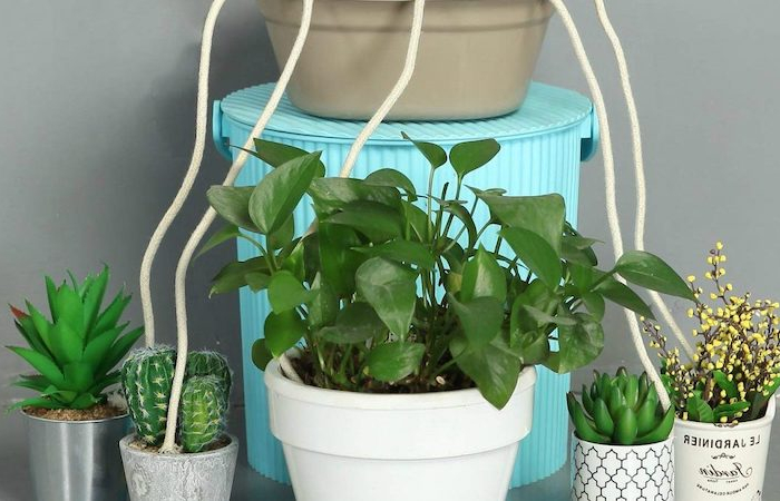 comment arroser plantes d interieur quand on part en vacances systeme d arrosage de pots