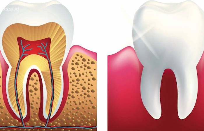 comment blanchir les dents rapidement structure de la dent